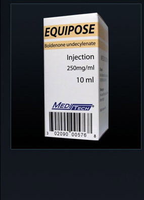 Equi-250/Meditech<BR>Boldenone Undecylenate <BR>250mg/ml in 10m